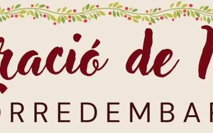 Foto: Decoració de Nadal |  Agenda Turisme Torredembarra